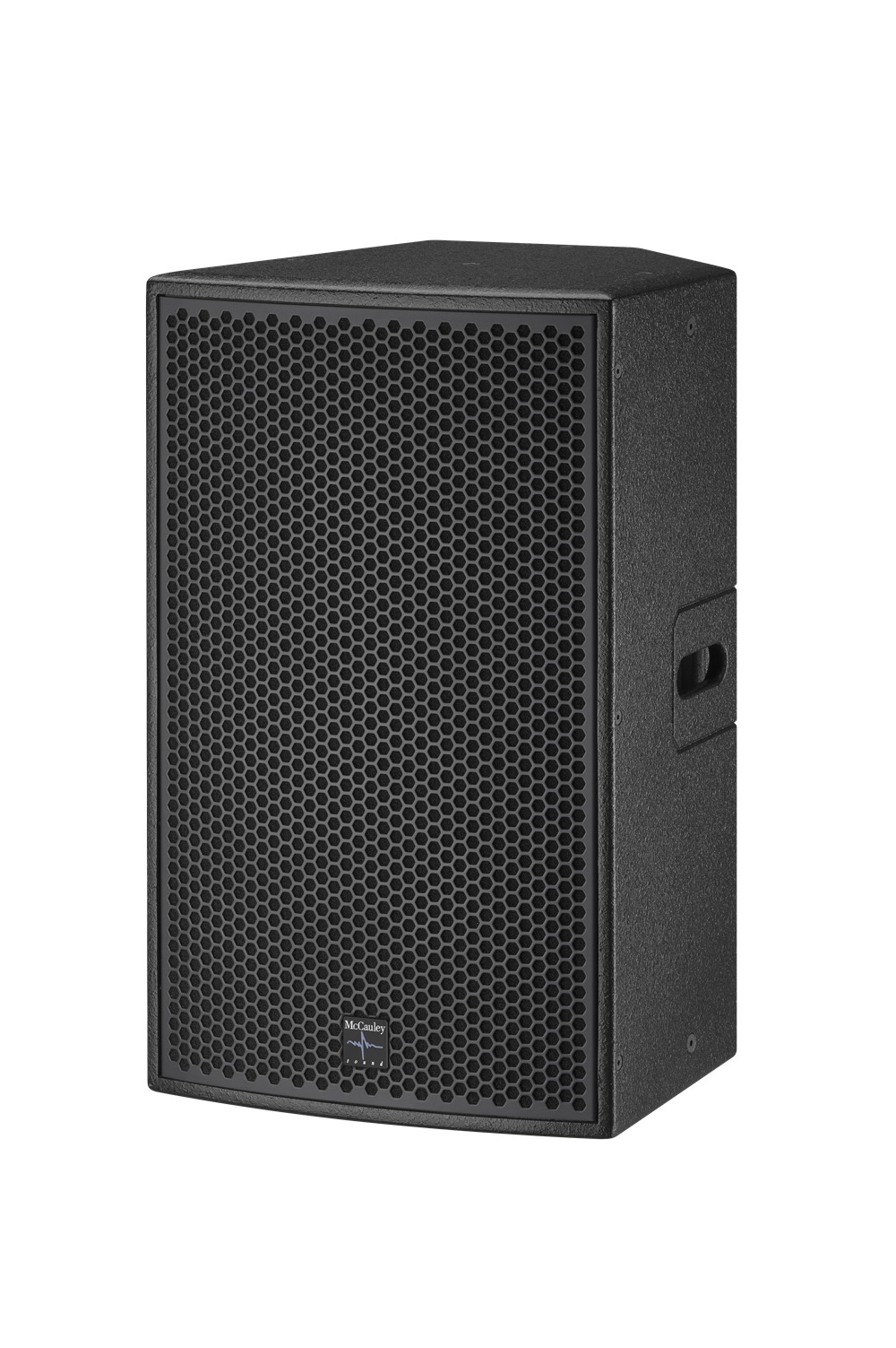 AC12   12-inch full-range speaker