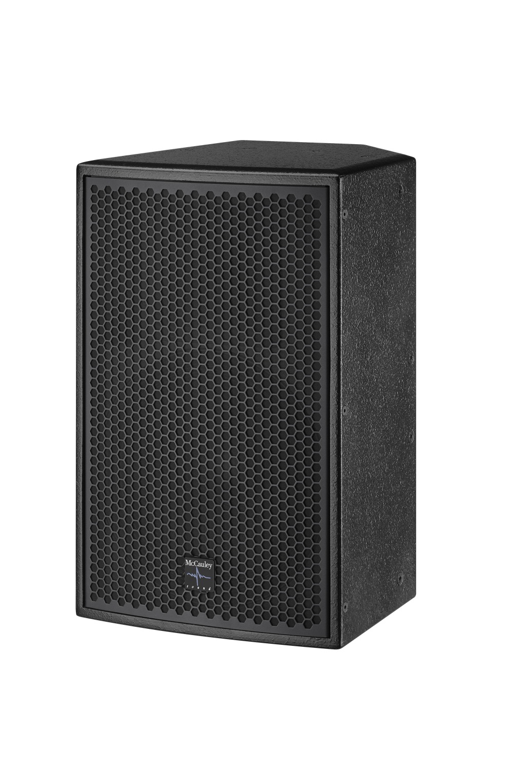 AC15 15-inch full-range speaker