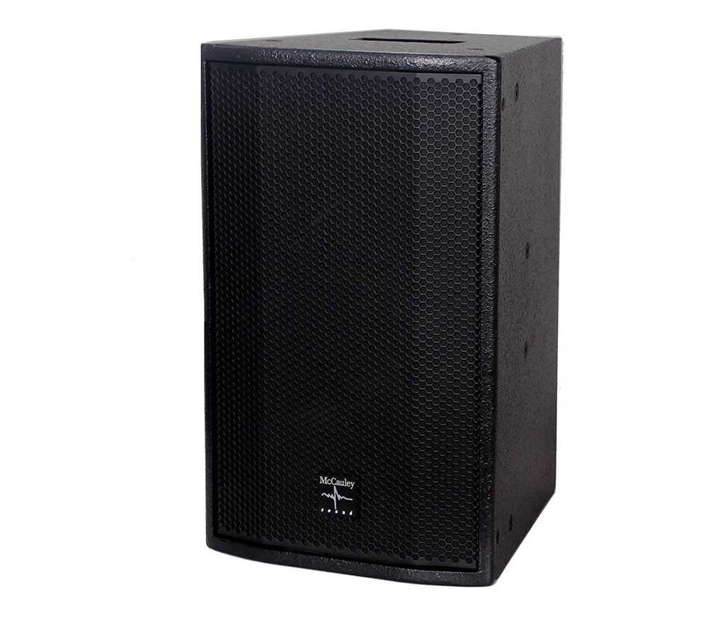 AC1001 10-inch rear-vented full-range loudspeaker